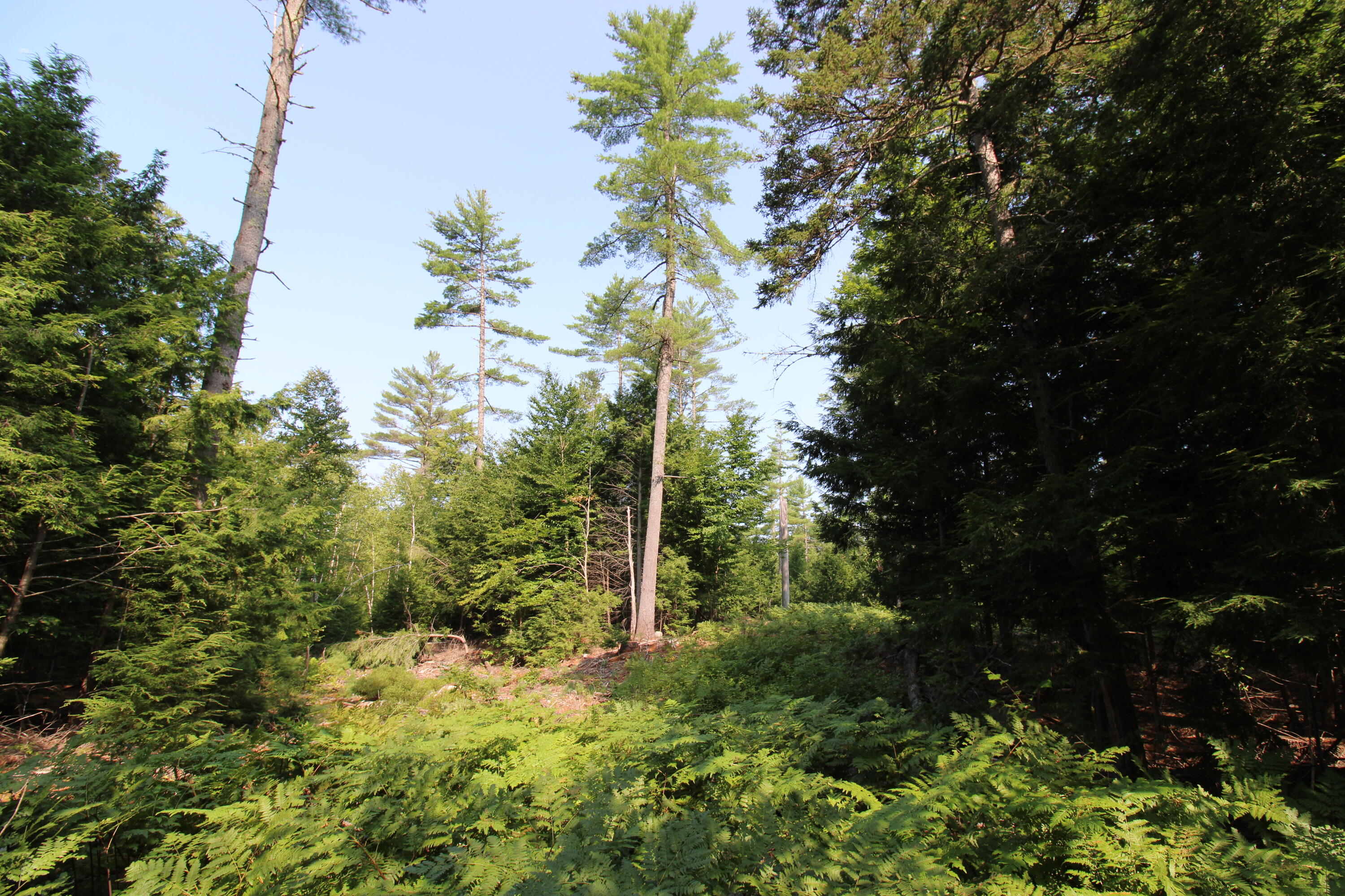 Lot 12 Bear Pond Road Waterford ME 04088