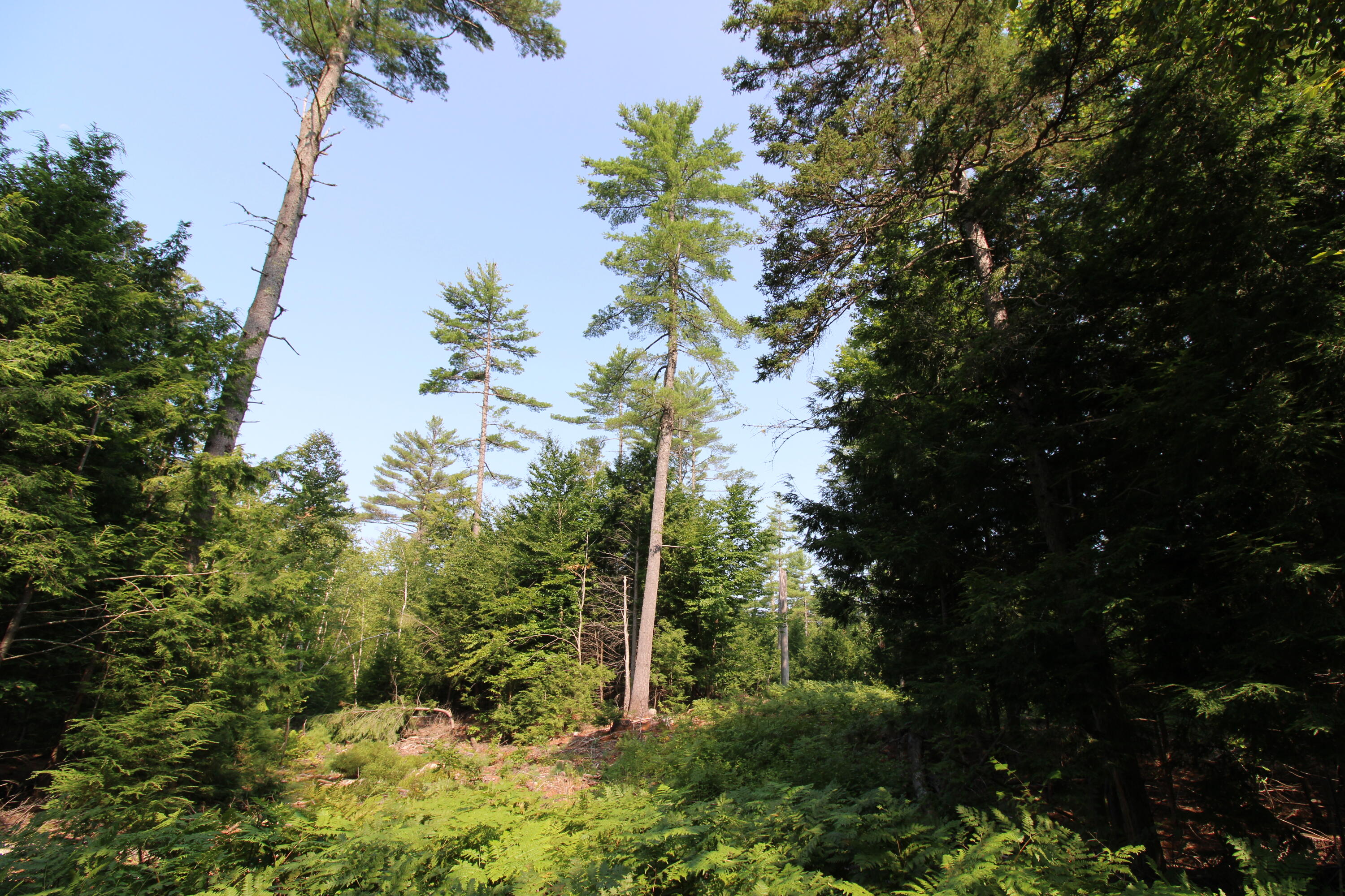 Lot 12 Bear Pond Road Waterford ME 04088