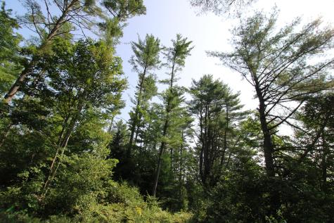 Lot 12 Bear Pond Road Waterford ME 04088