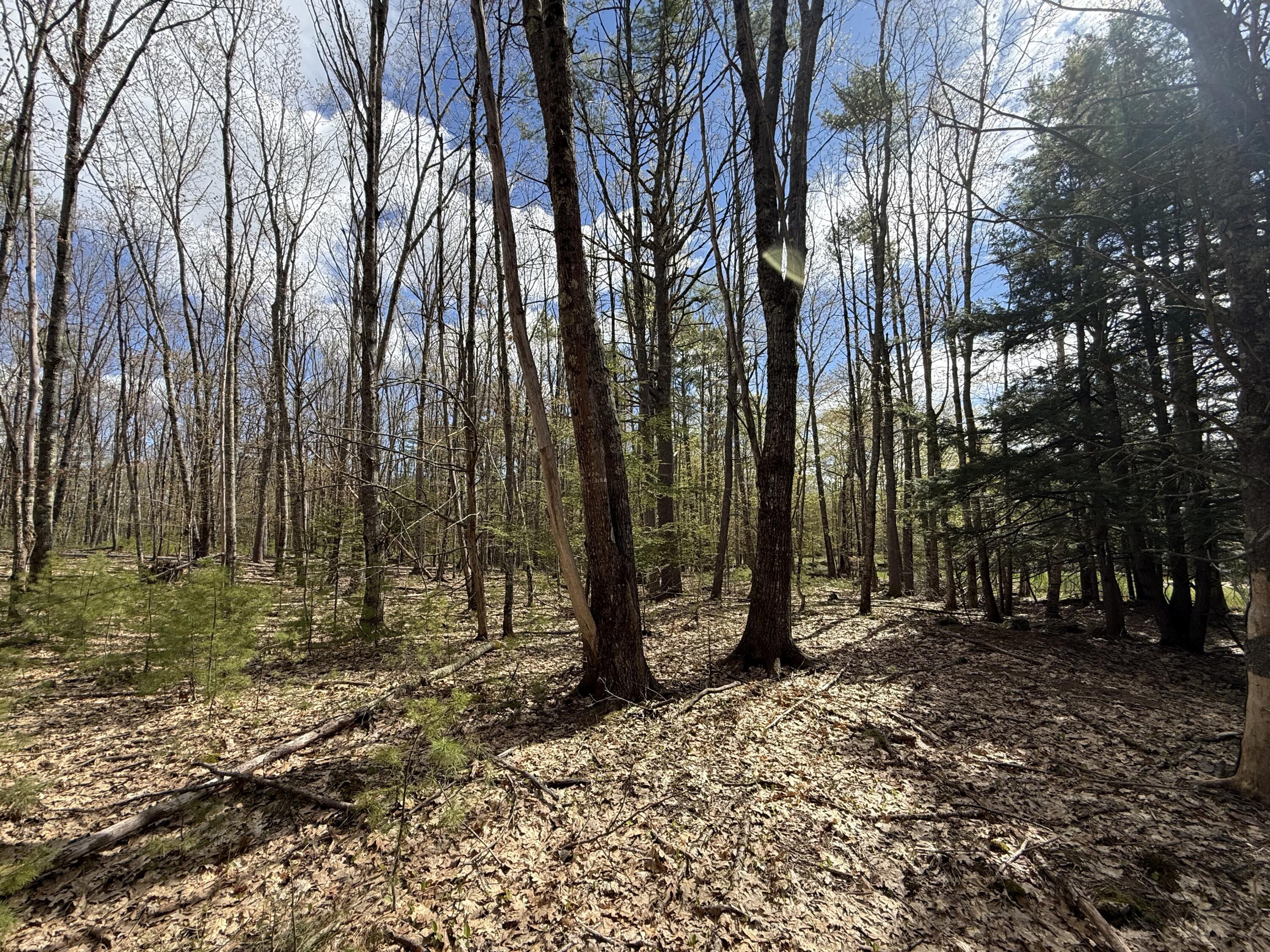 Lot # 8e01 Lord Road Buxton ME 04093