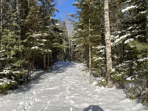 Lot 21-10 Toddy Drive Penobscot ME 04476