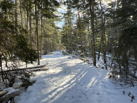 Lot 21-10 Toddy Drive Penobscot ME 04476