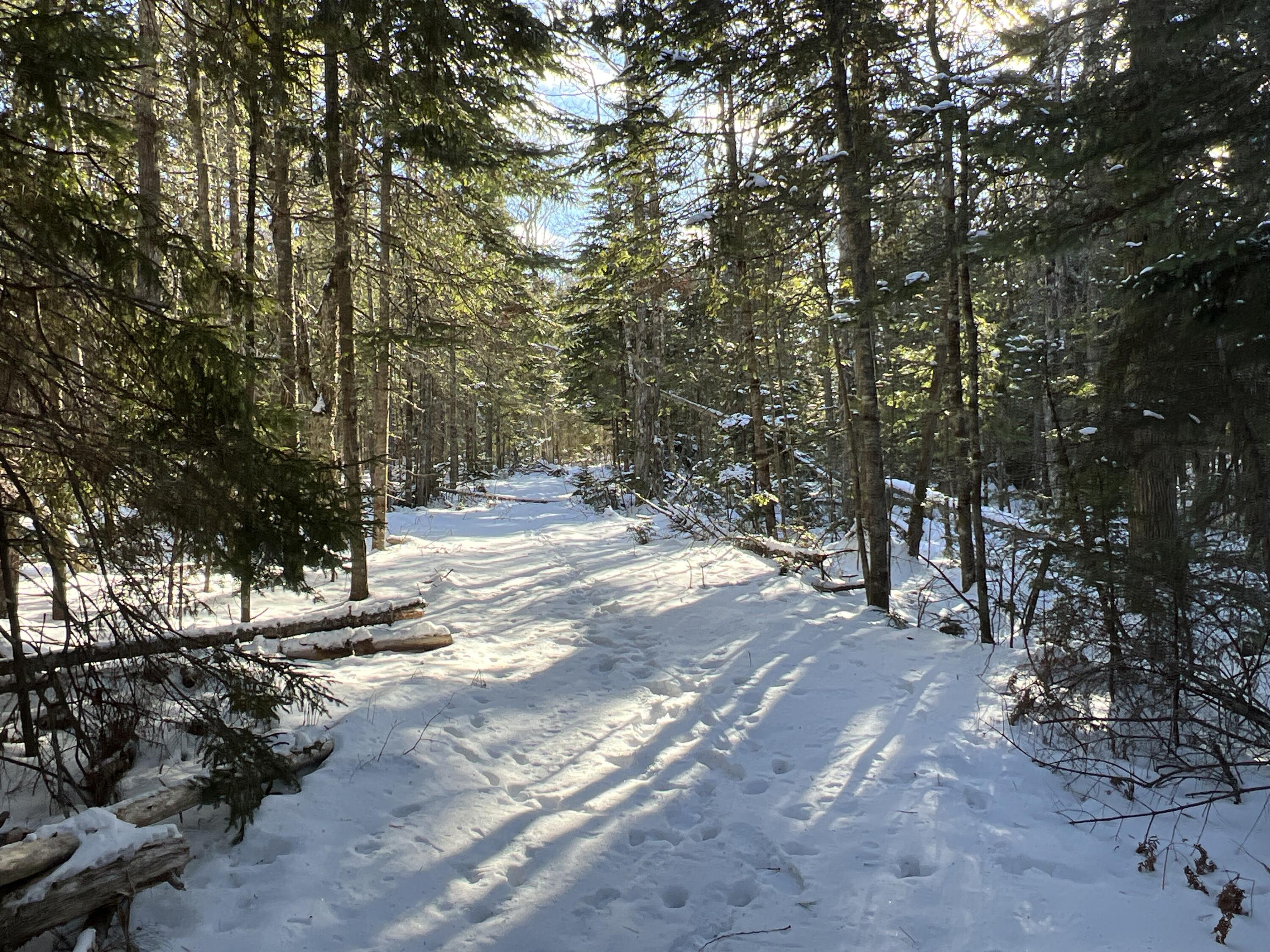 Lot 21-10 Toddy Drive Penobscot ME 04476