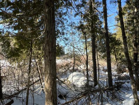 Lot 21-10 Toddy Drive Penobscot ME 04476