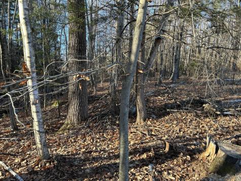 M28LOT4 10 Lots Road Oakland ME 04963