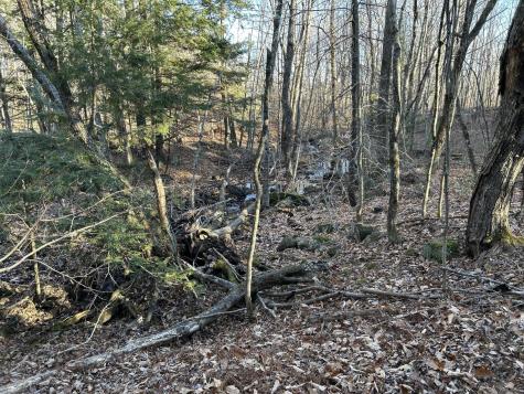 M28LOT4 10 Lots Road Oakland ME 04963