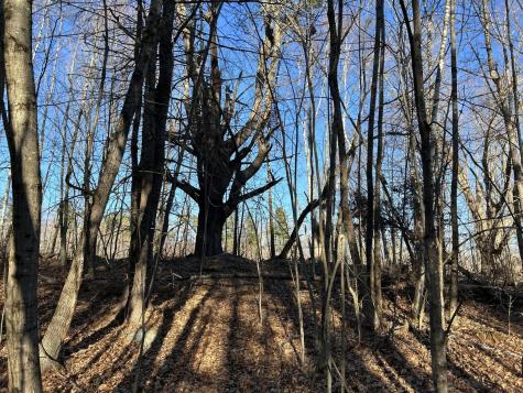 M28LOT4 10 Lots Road Oakland ME 04963