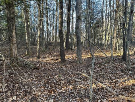 M28LOT4 10 Lots Road Oakland ME 04963