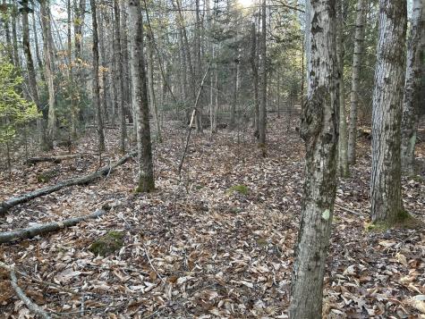 M28LOT4 10 Lots Road Oakland ME 04963