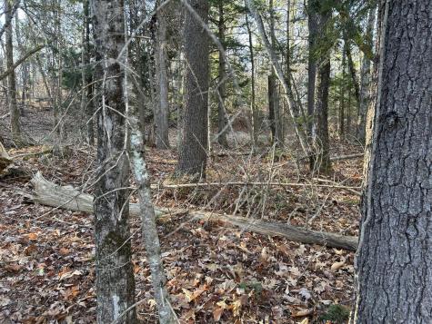 M28LOT4 10 Lots Road Oakland ME 04963