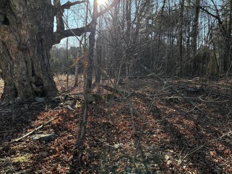 M28LOT4 10 Lots Road Oakland ME 04963