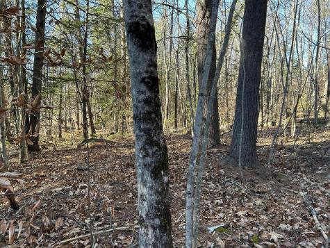 M28LOT4 10 Lots Road Oakland ME 04963