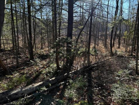 M28LOT4 10 Lots Road Oakland ME 04963