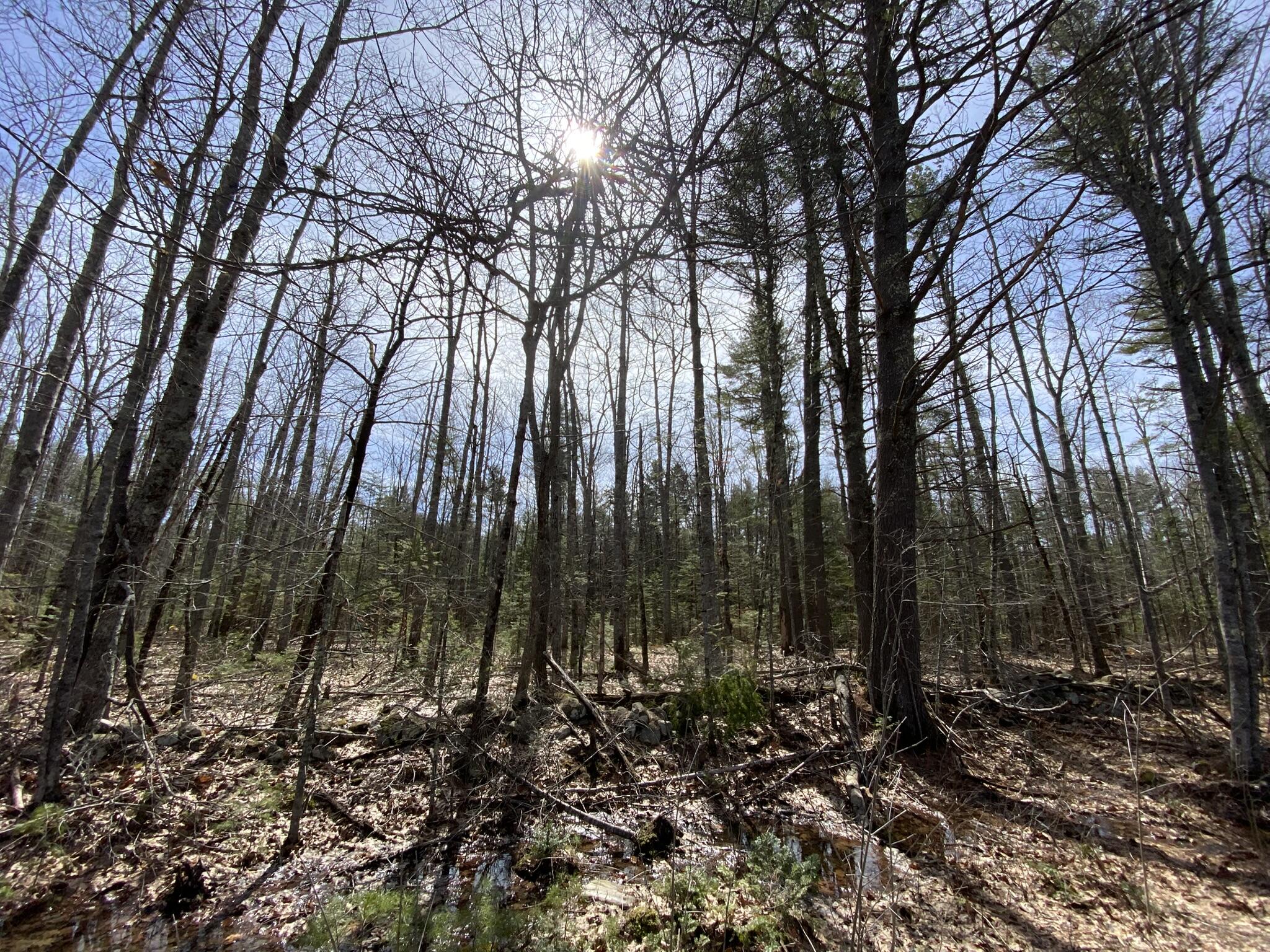 P/o M2l16c West Neck Road Nobleboro ME 04555