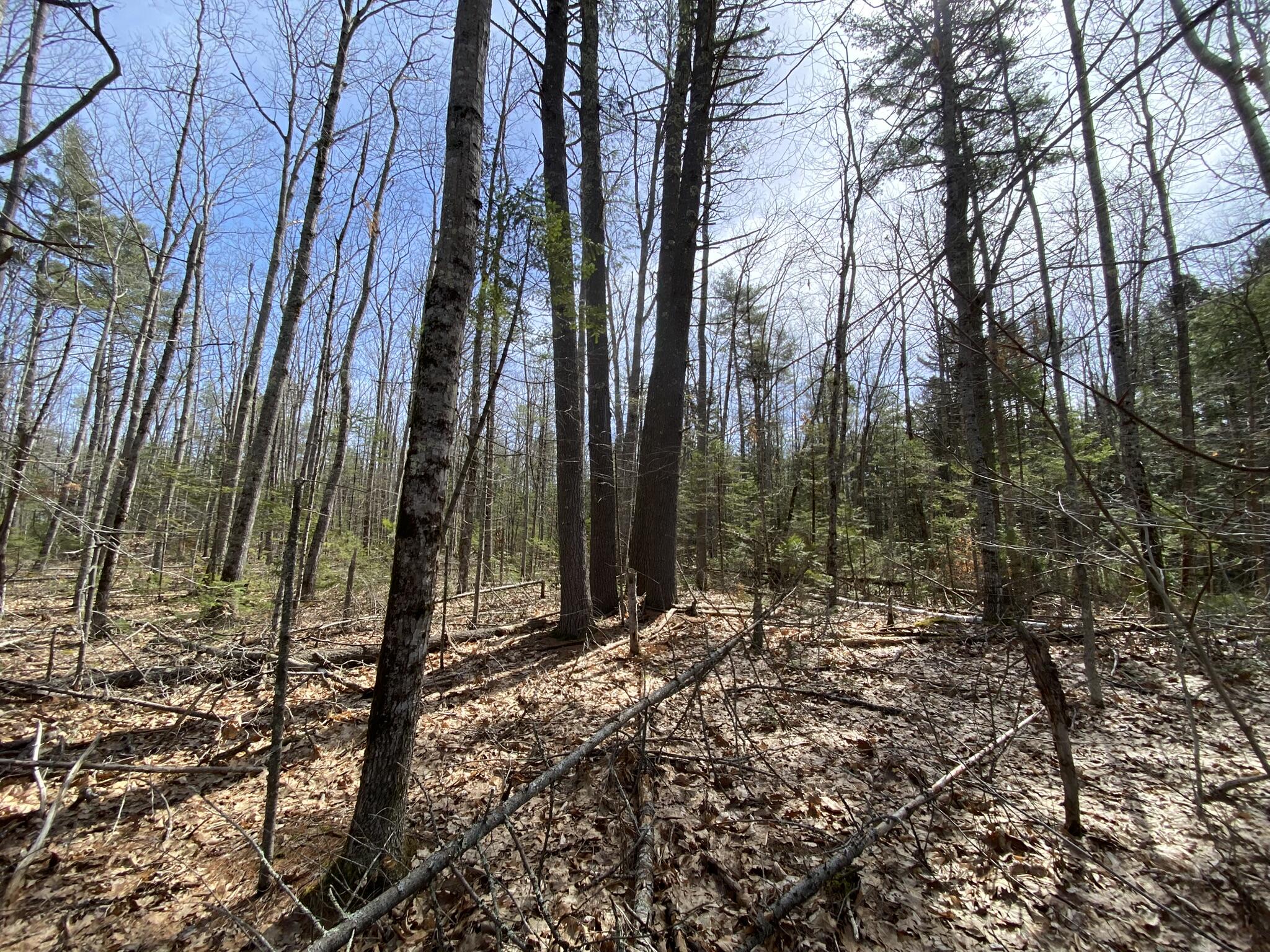 P/o M2l16c West Neck Road Nobleboro ME 04555