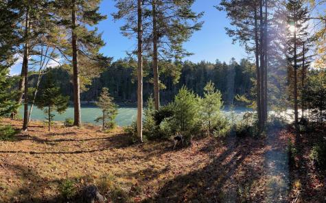 M217 L074 Kallio Cove Road Saint George ME 04860