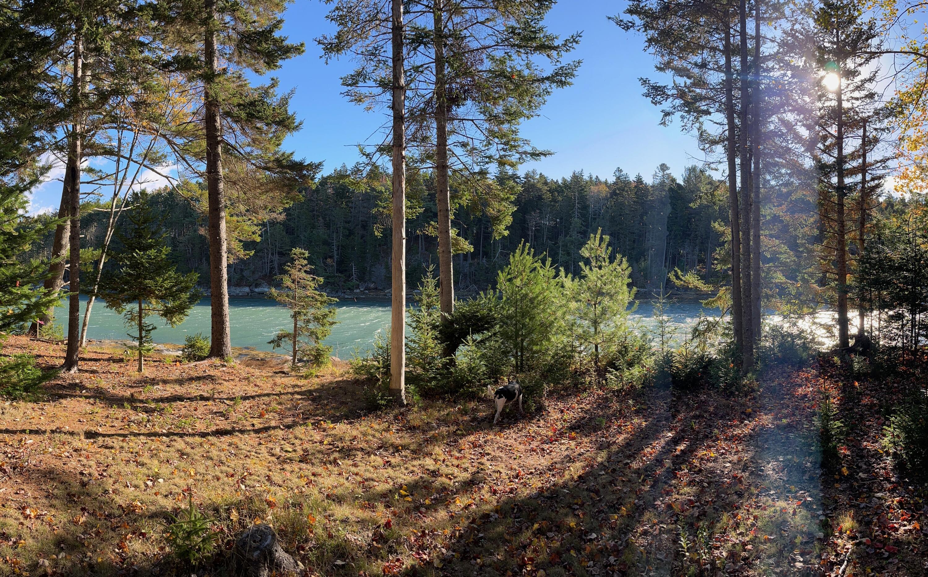 M217 L074 Kallio Cove Road Saint George ME 04860