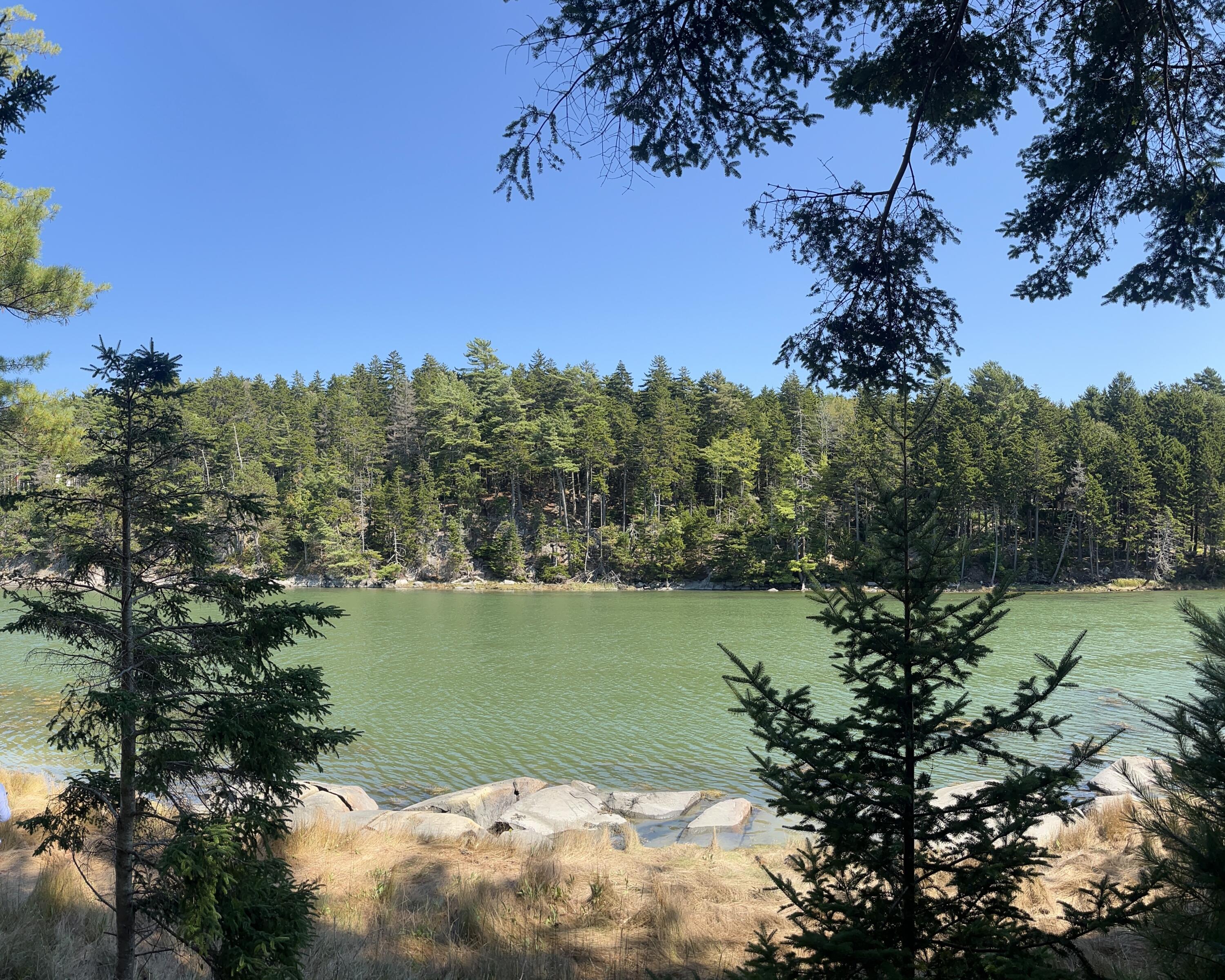 M217 L074 Kallio Cove Road Saint George ME 04860