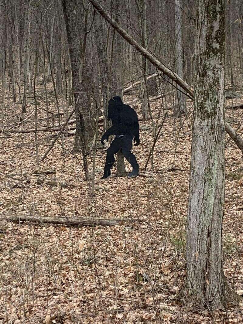 498 Morrill Road Winslow ME 04901