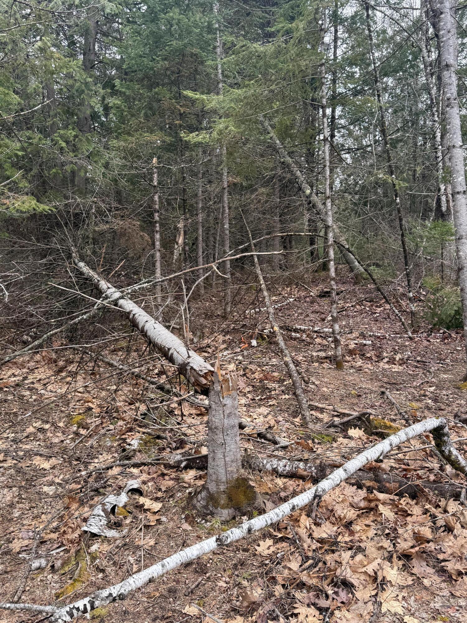 498 Morrill Road Winslow ME 04901