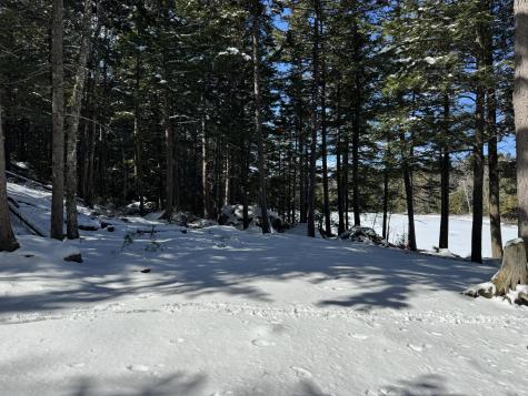 00 Elbow Lake Road T3 Indian Purchase Twp ME 04462