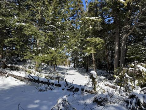 00 Elbow Lake Road T3 Indian Purchase Twp ME 04462