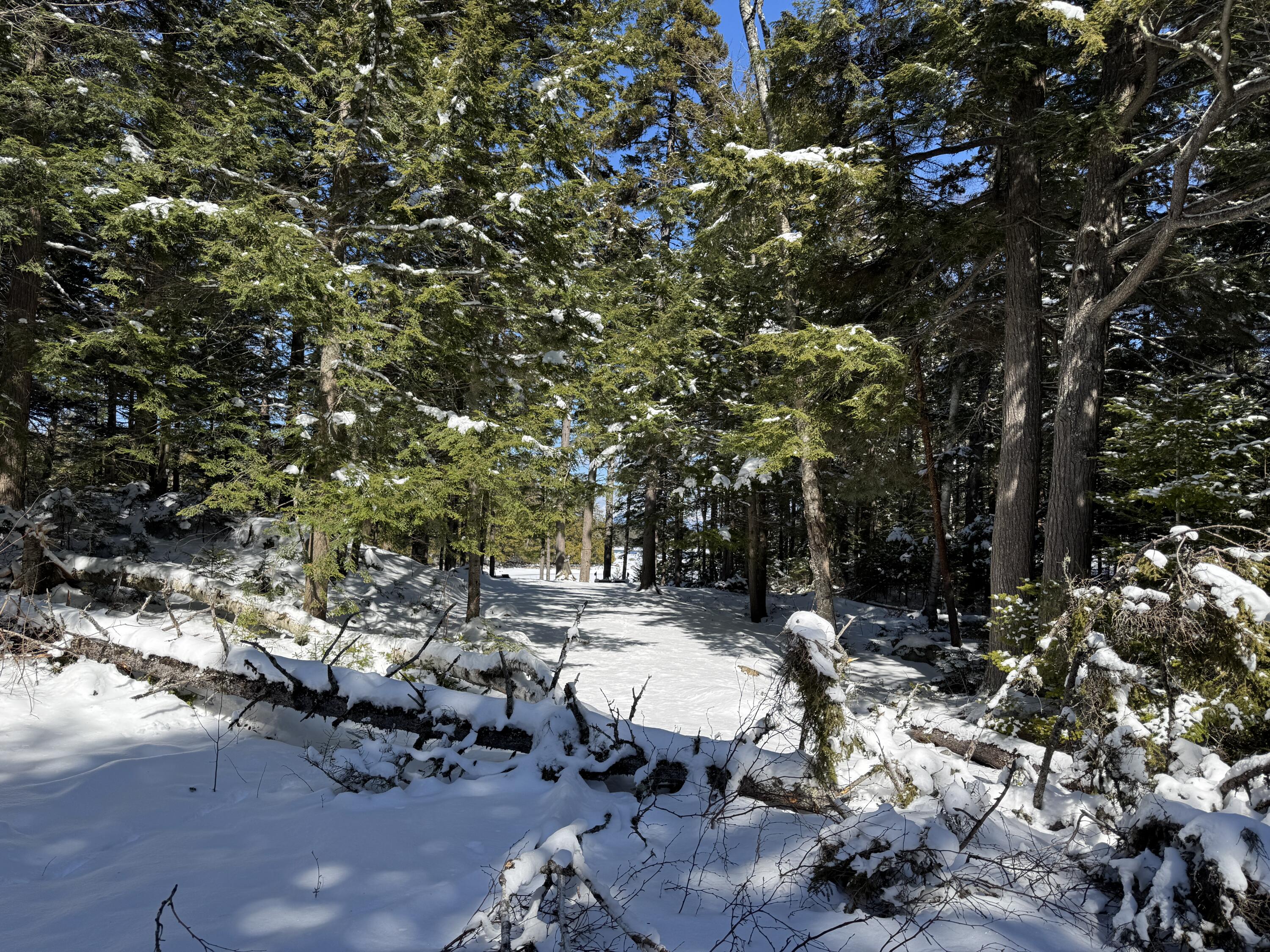 00 Elbow Lake Road T3 Indian Purchase Twp ME 04462