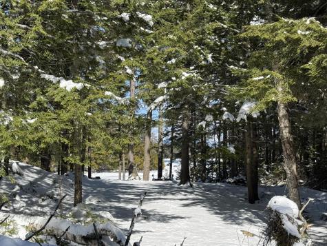 00 Elbow Lake Road T3 Indian Purchase Twp ME 04462