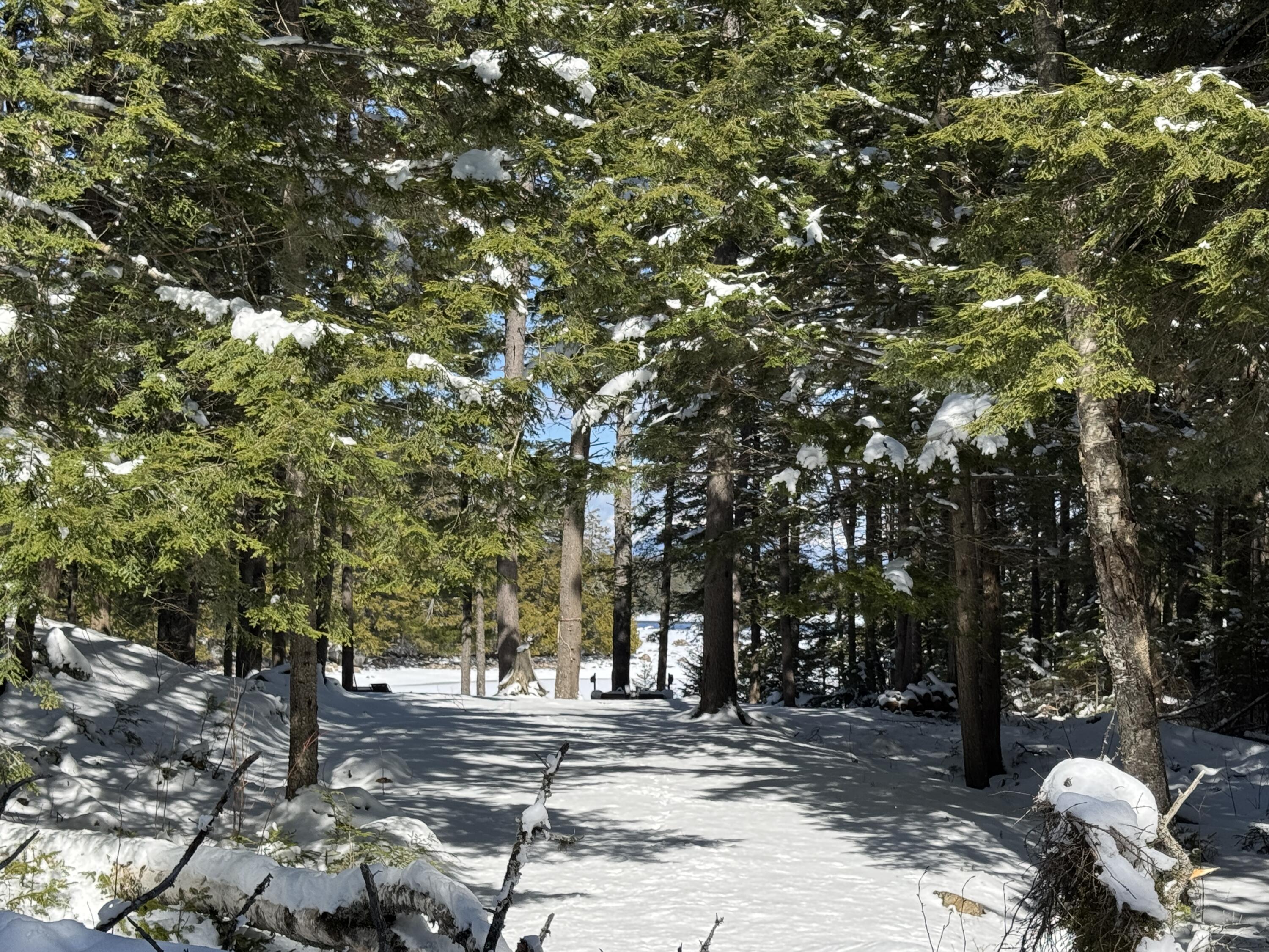 00 Elbow Lake Road T3 Indian Purchase Twp ME 04462