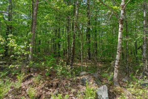 Lot C Shady Nook Road Newfield ME 04095