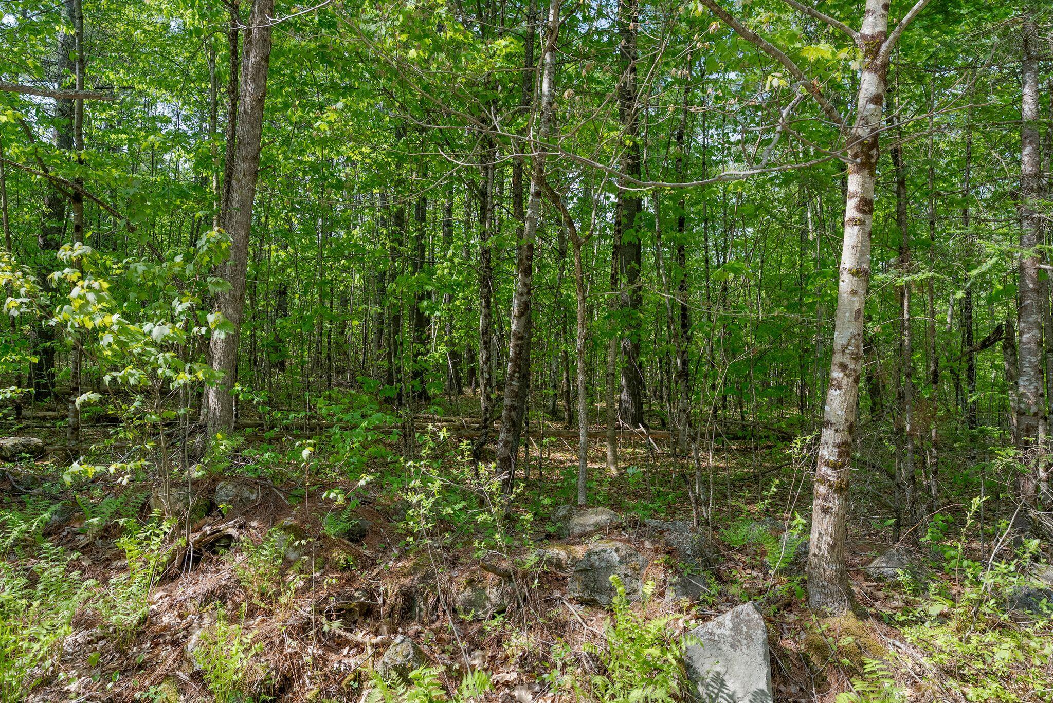 Lot C Shady Nook Road Newfield ME 04095