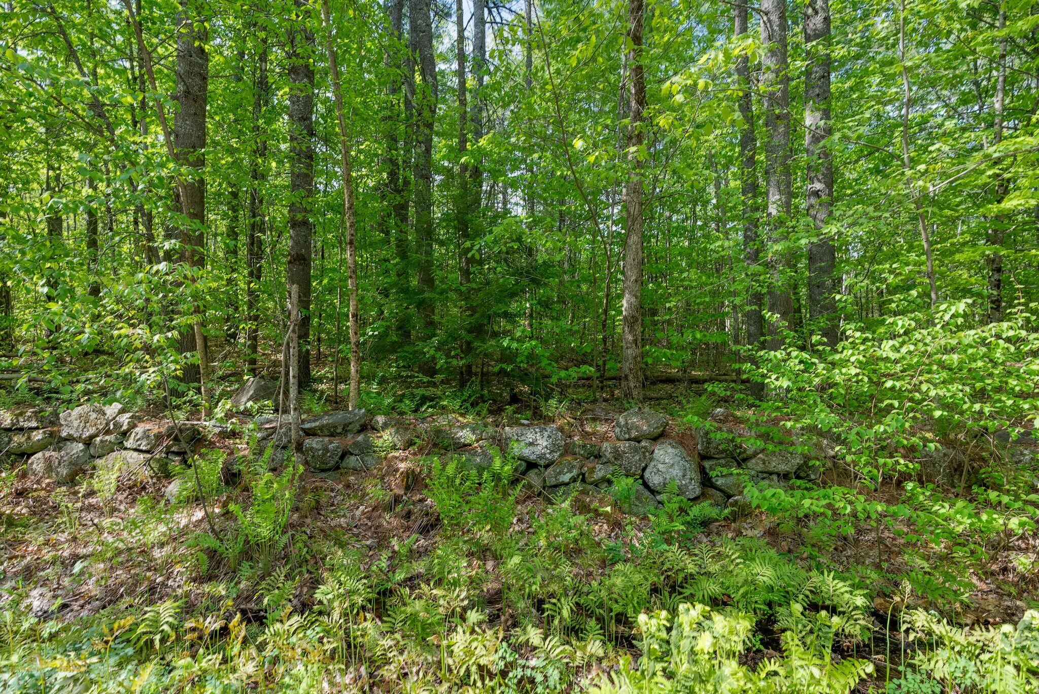 Lot C Shady Nook Road Newfield ME 04095