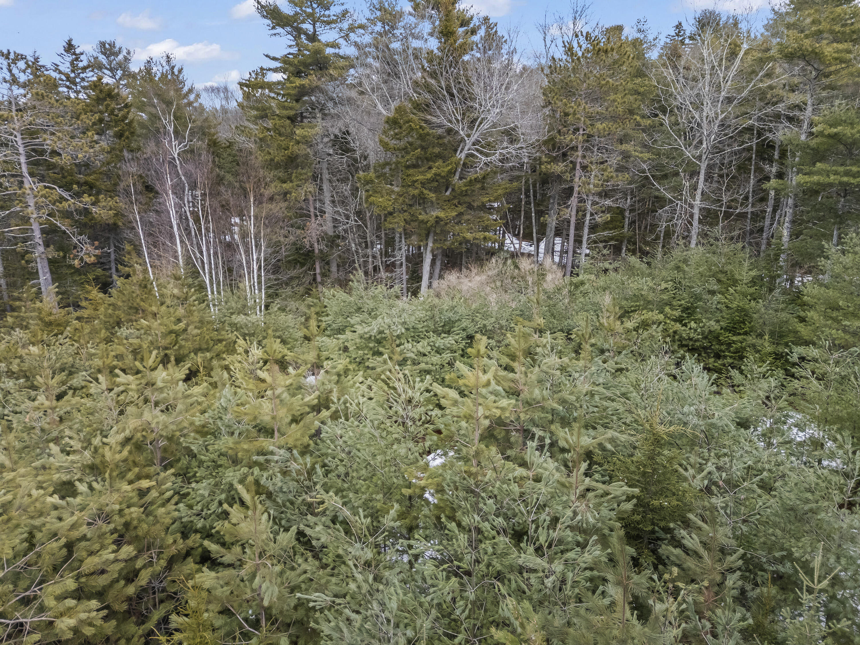 Lot 18 Pasture Road Phippsburg ME 04562