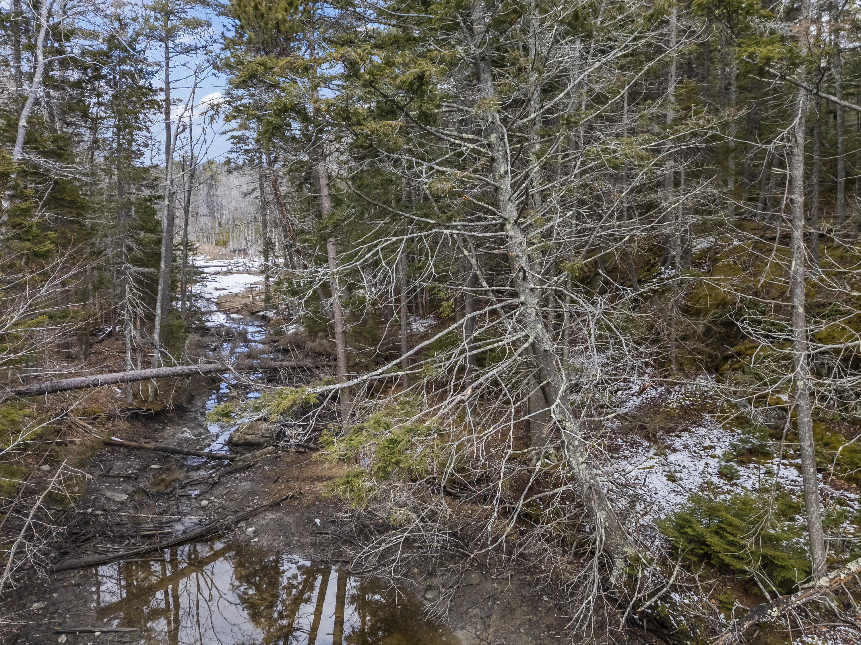 Lot 18 Pasture Road Phippsburg ME 04562