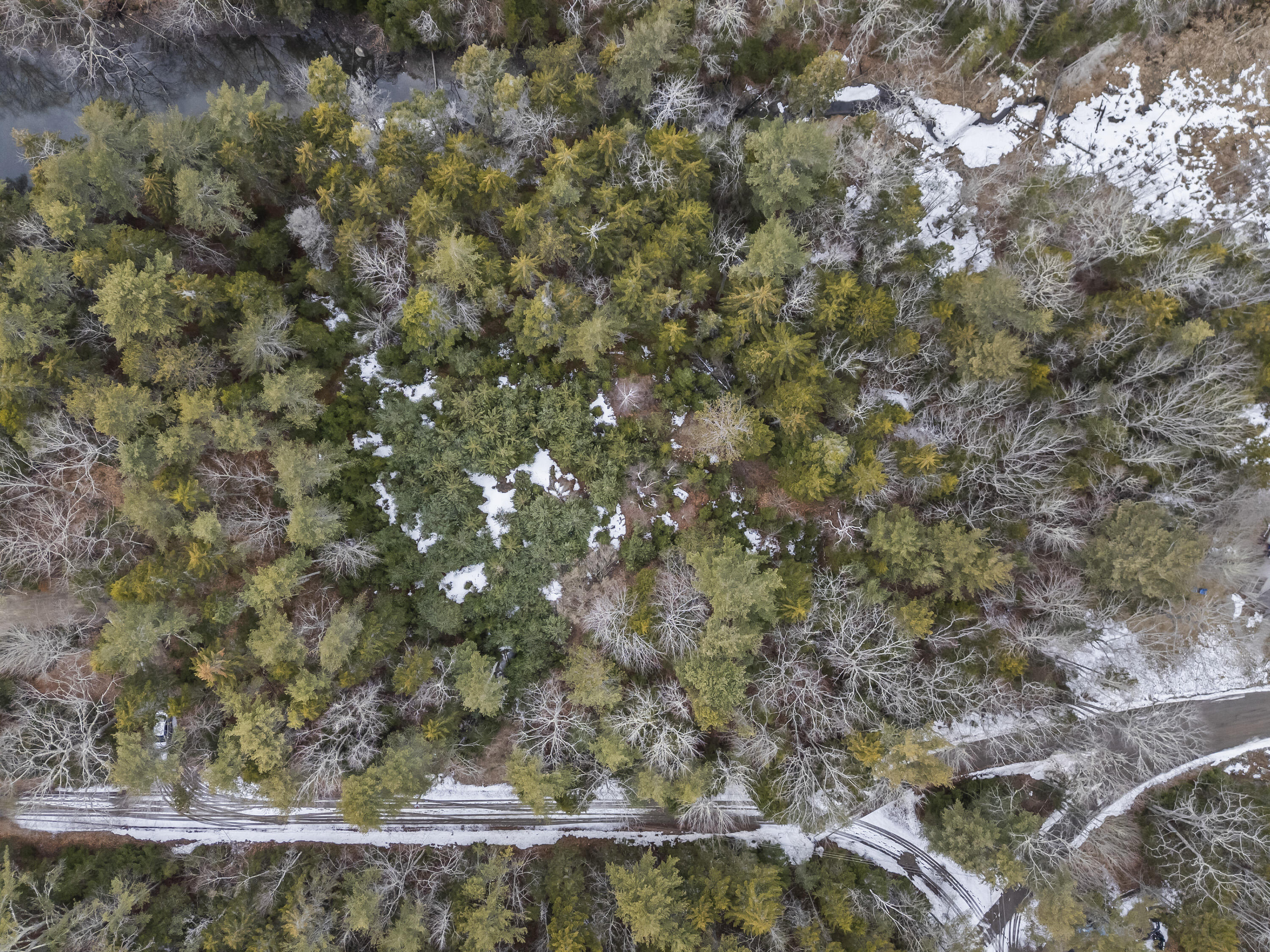 Lot 18 Pasture Road Phippsburg ME 04562
