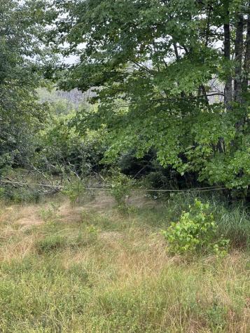 Lot 60 Tenan Lane Cherryfield ME 04622