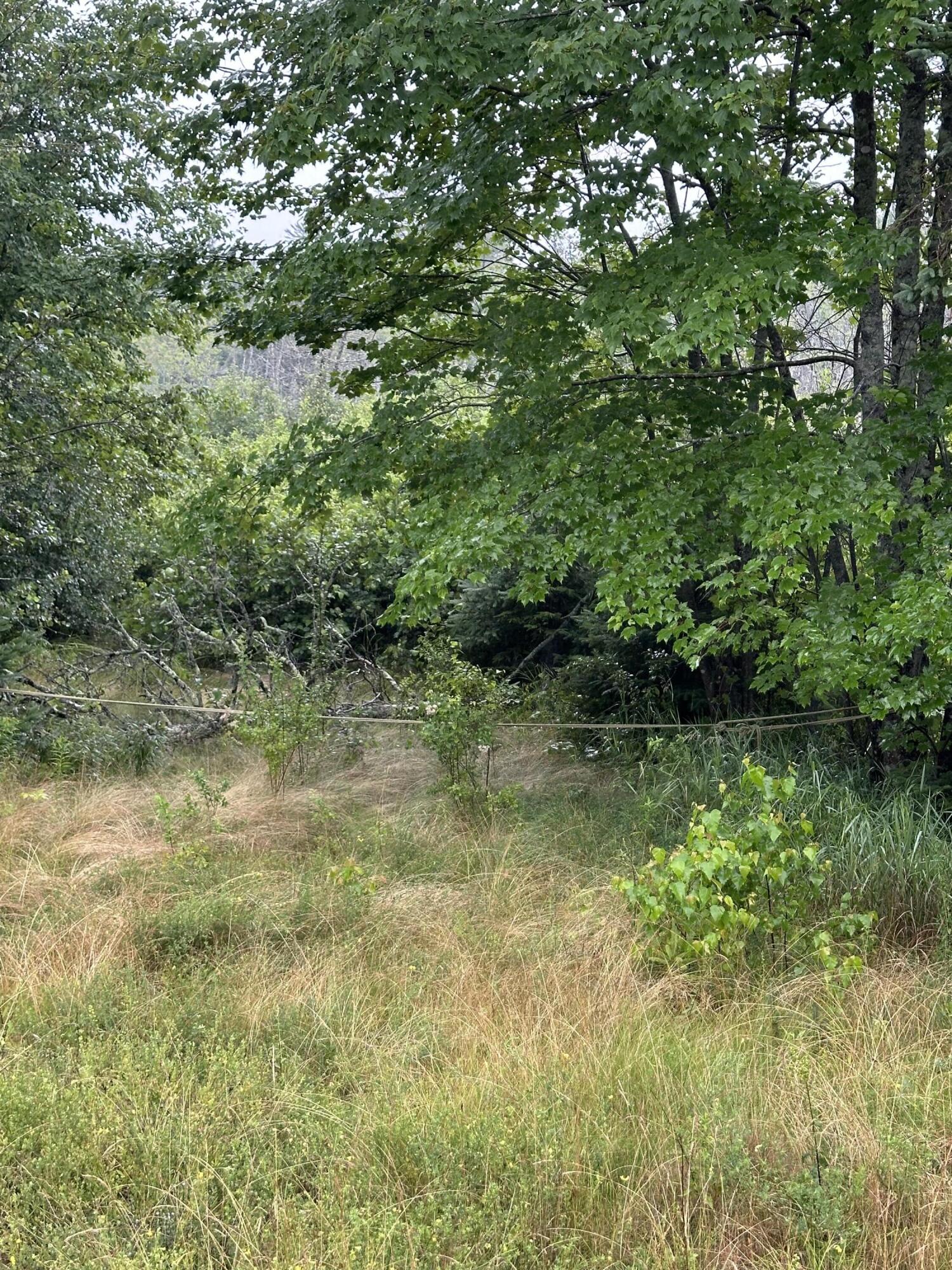 Lot 60 Tenan Lane Cherryfield ME 04622