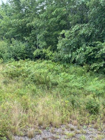 Lot 60 Tenan Lane Cherryfield ME 04622
