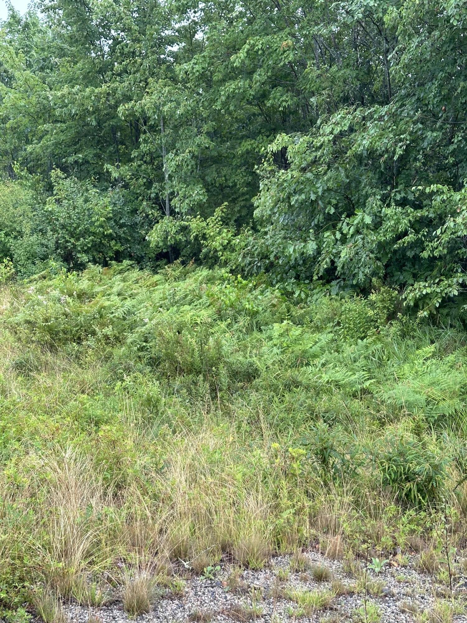 Lot 60 Tenan Lane Cherryfield ME 04622