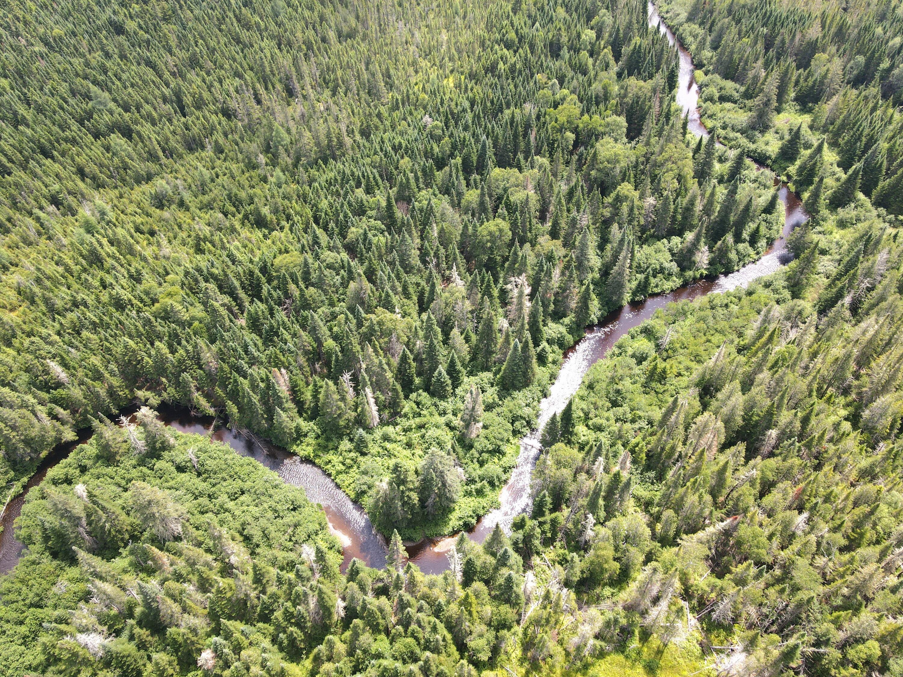 Lot 43.12 Jemptland Road Connor Twp ME 04736
