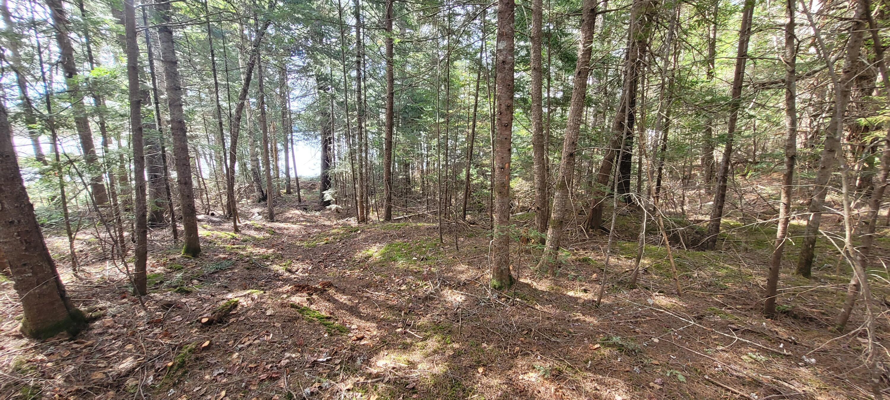 135 Silsby Road Mariaville ME 04605