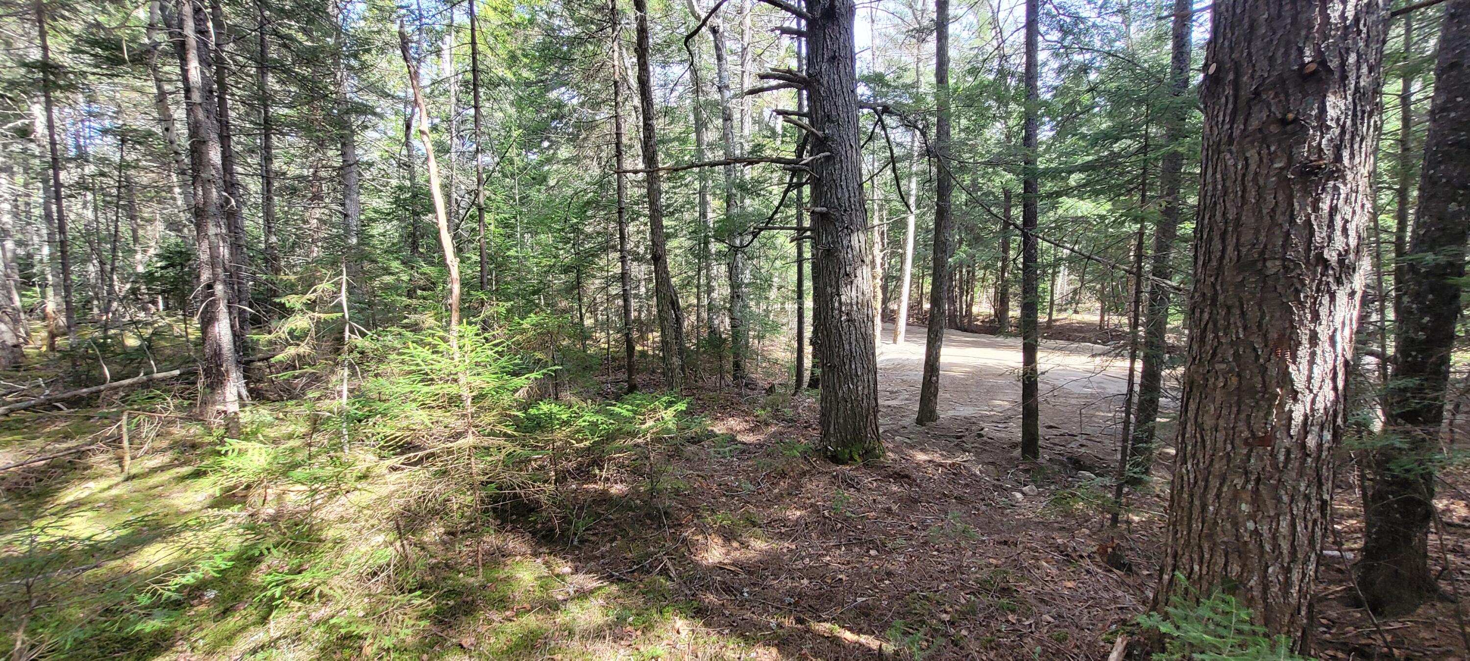 135 Silsby Road Mariaville ME 04605