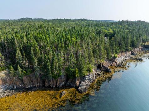 X Havenhurst Road Trescott Twp ME 04652