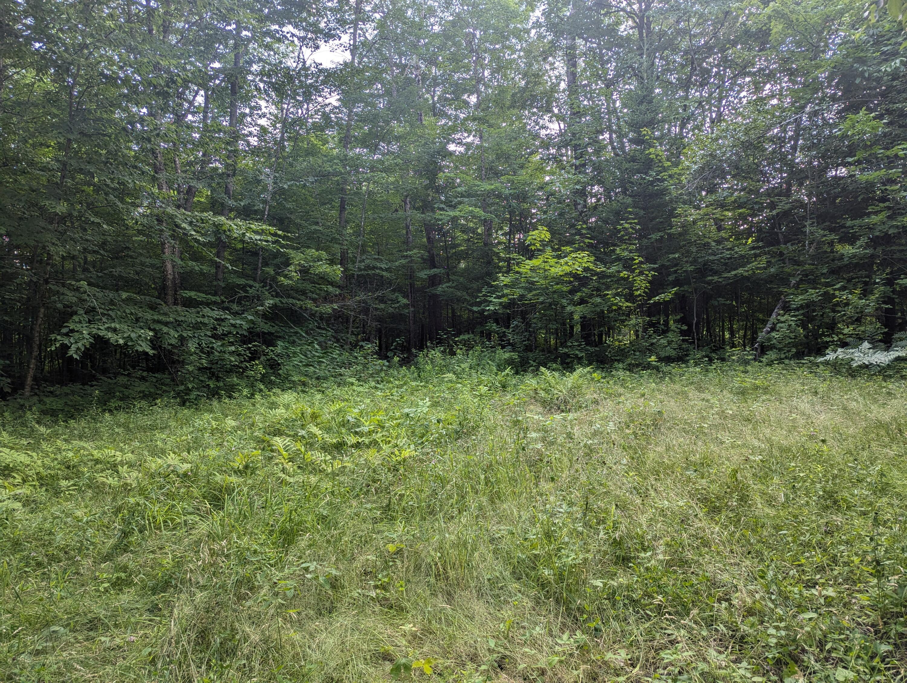 Lot 17 Quarry Avenue Brownville ME 04414