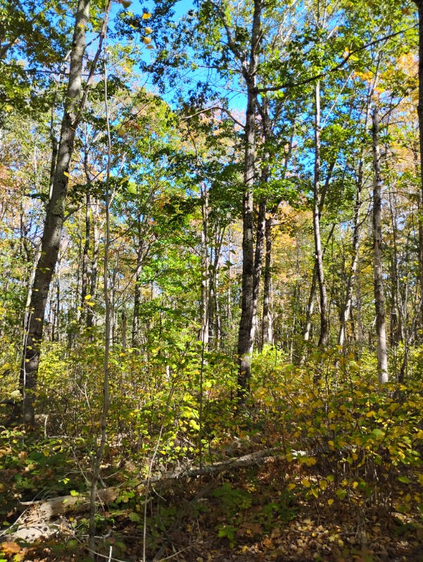 1 Bicknell Road Belmont ME 04952