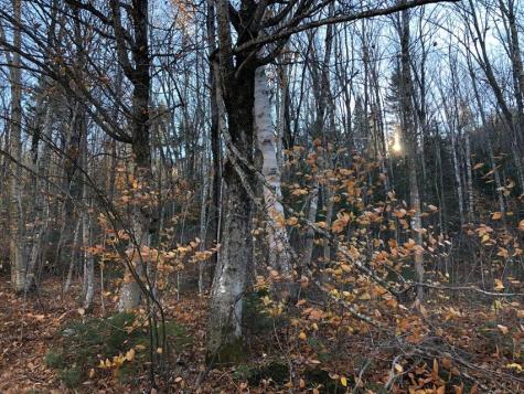 M16 L17, 18, 19 Edelheid Road Sandy River Plt ME 04970