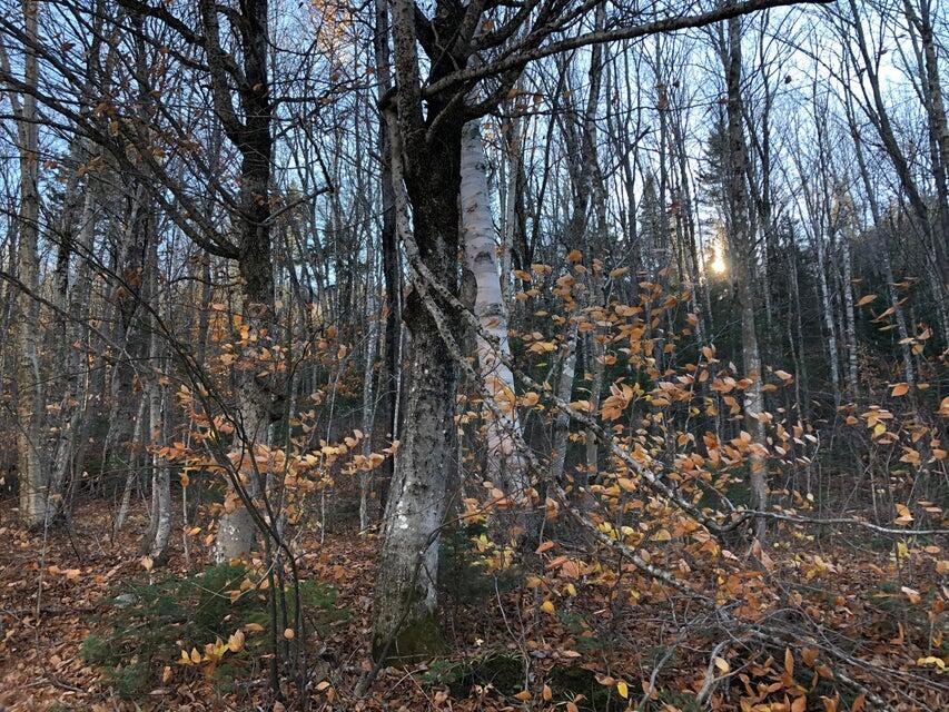 M16 L17, 18, 19 Edelheid Road Sandy River Plt ME 04970