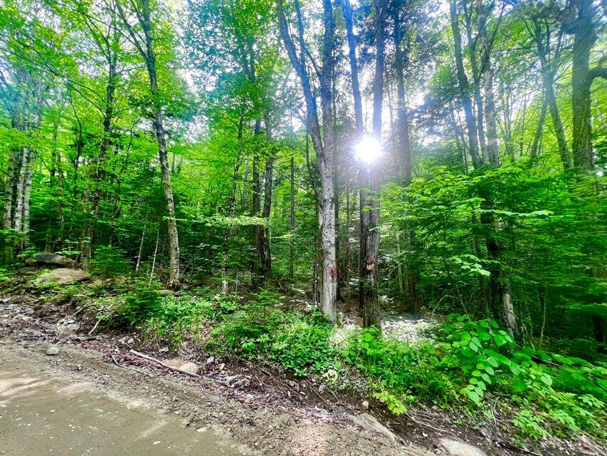 M16 L17, 18, 19 Edelheid Road Sandy River Plt ME 04970