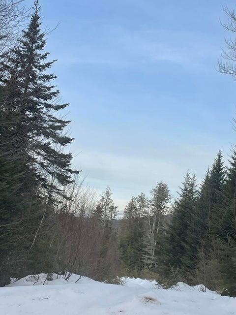 M16 L17, 18, 19 Edelheid Road Sandy River Plt ME 04970