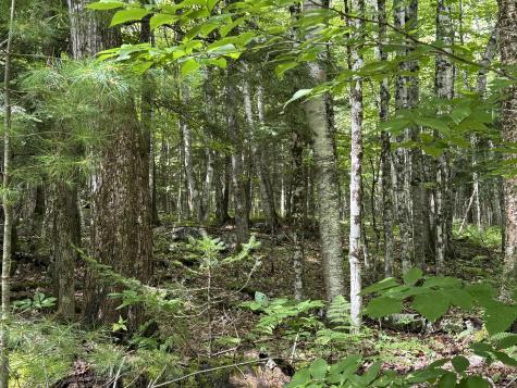 105 Poplar Point Road Mount Vernon ME 04352